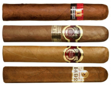Villiger Sampler Robusto 4